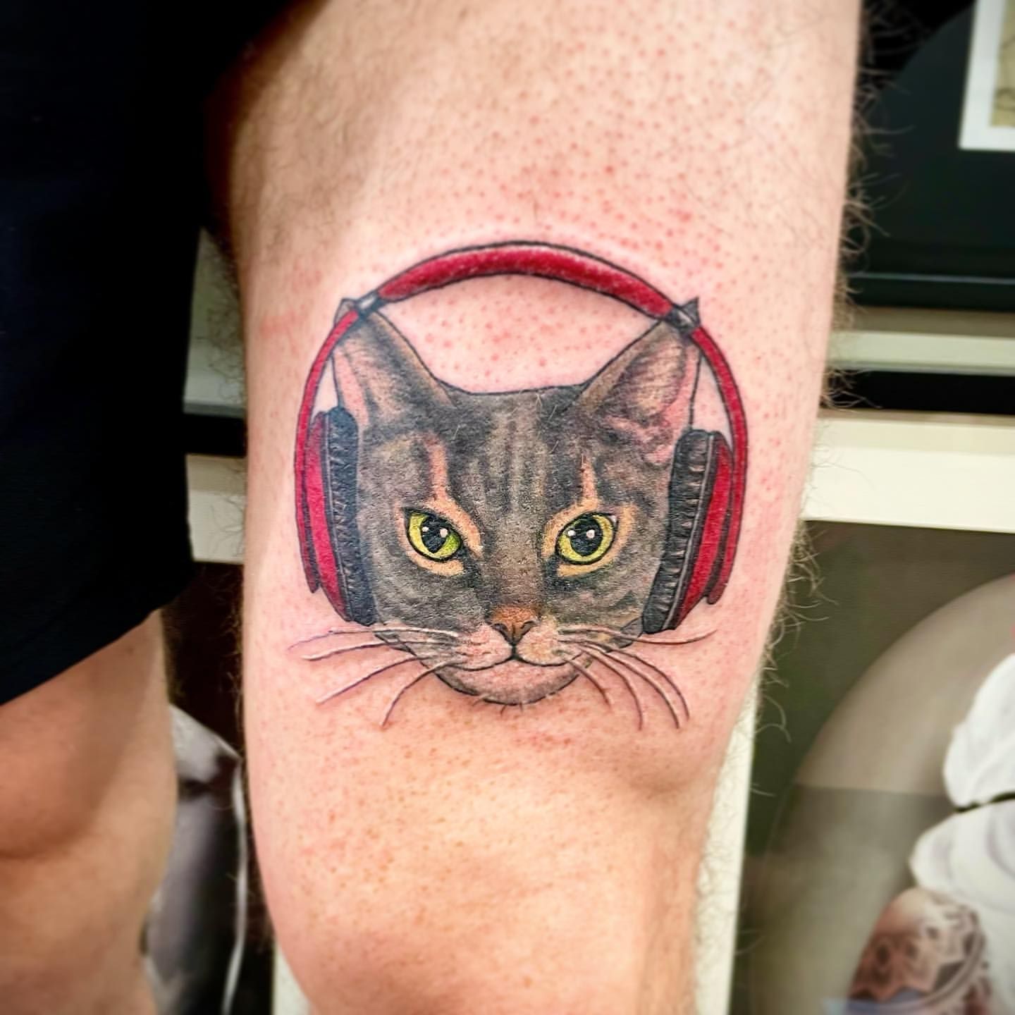 Cat Portrait Tattoo by Jess Alther at Black Gold Tattoo Co in Edmonton Alberta Canada