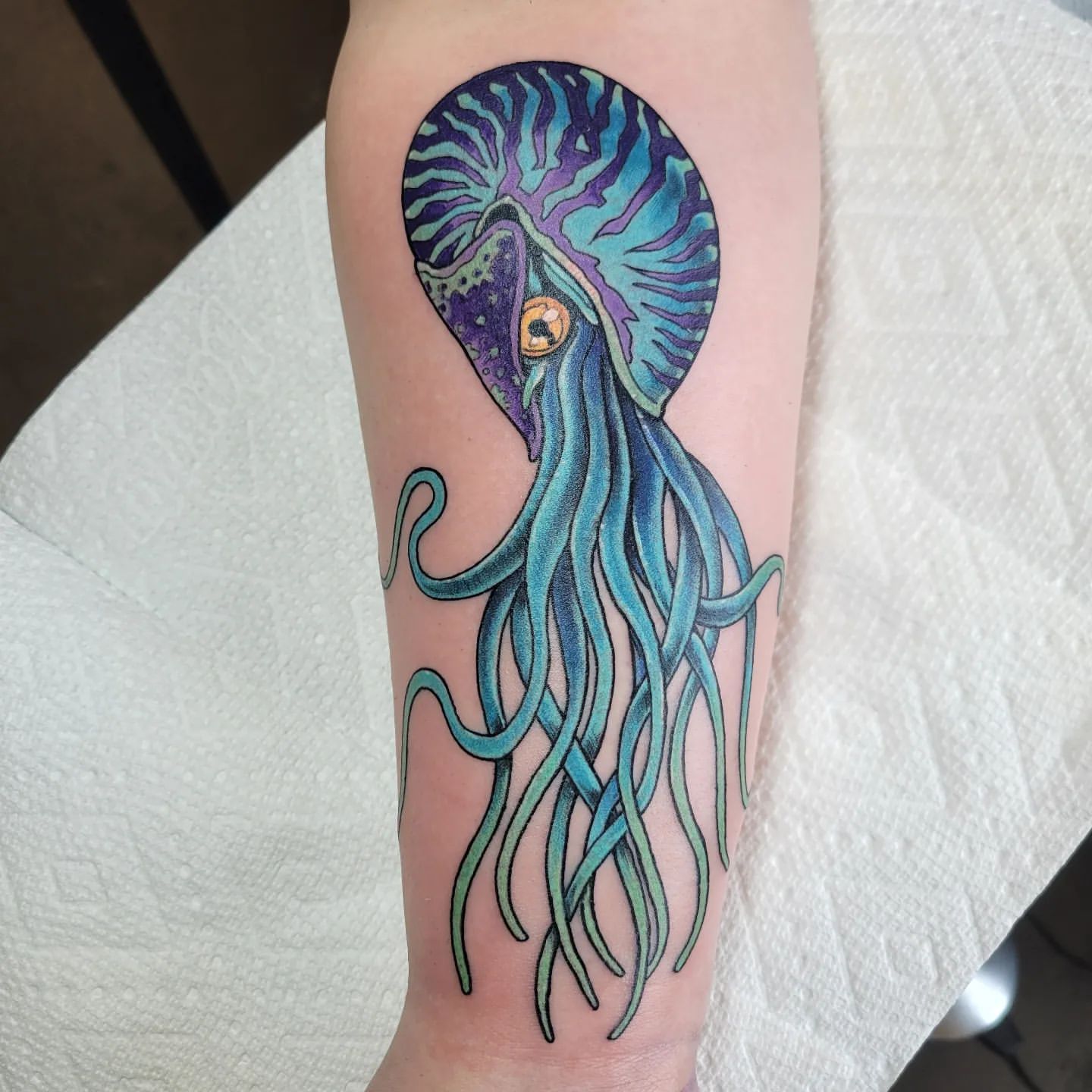 Nautilus Tattoo by Sheila Anderson at Crimson Empire Tattoo in Edmonton Alberta Canada
