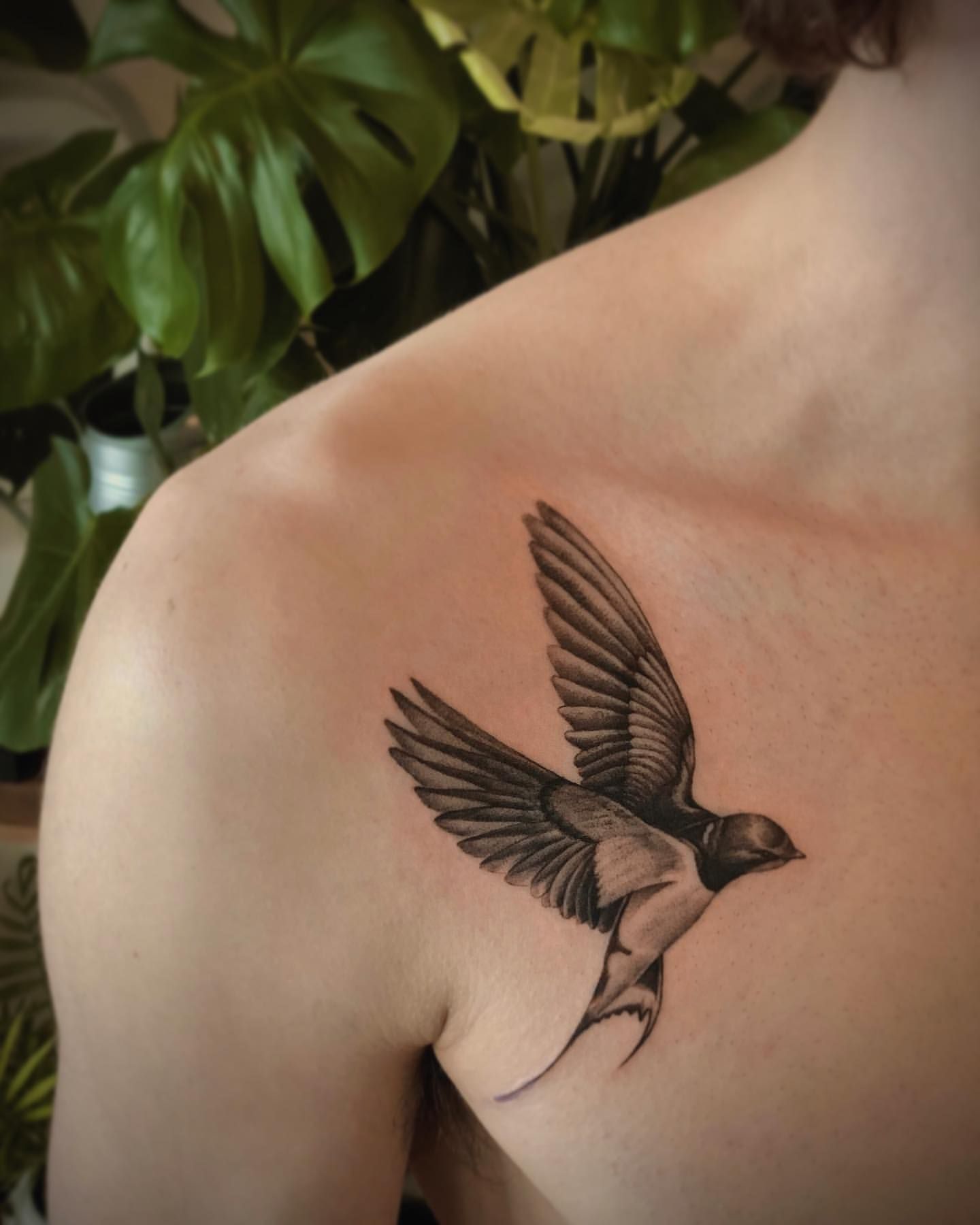 Sparrow Tattoo by Anastasiya at Silver Ghost Tattoo in Edmonton Alberta Canada