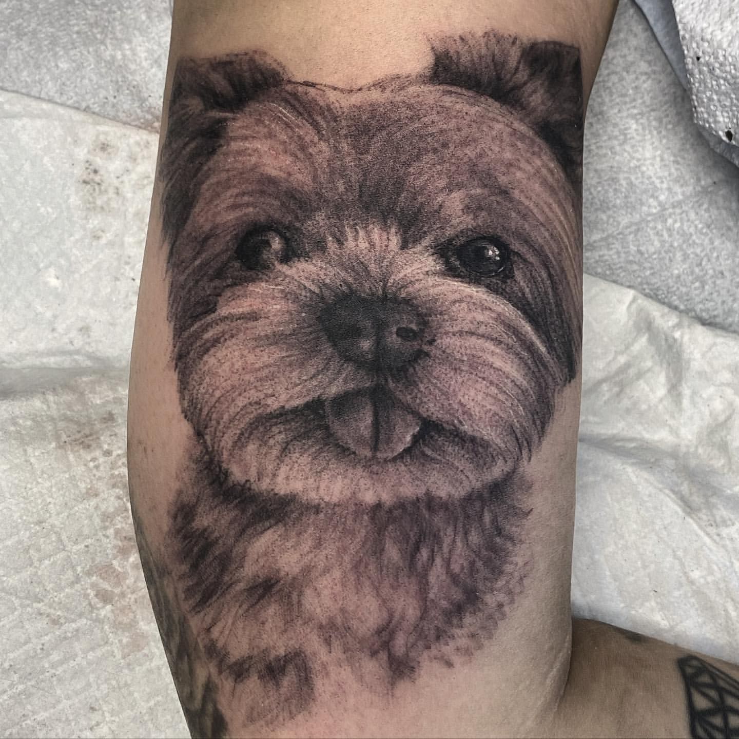 Dog Portrait Tattoo by Steve Hayes at Black Gold Tattoo Co in Edmonton Alberta Canada