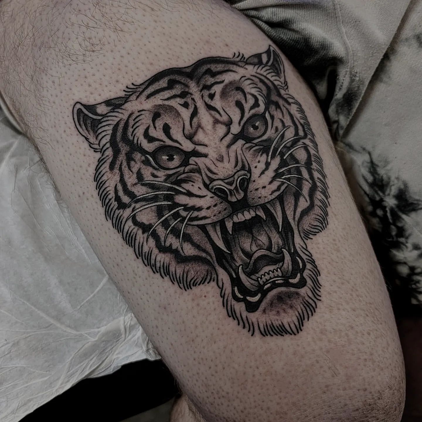Tiger Tattoo Chris Benson at Silver Ghost Tattoo in Edmonton Alberta Canada