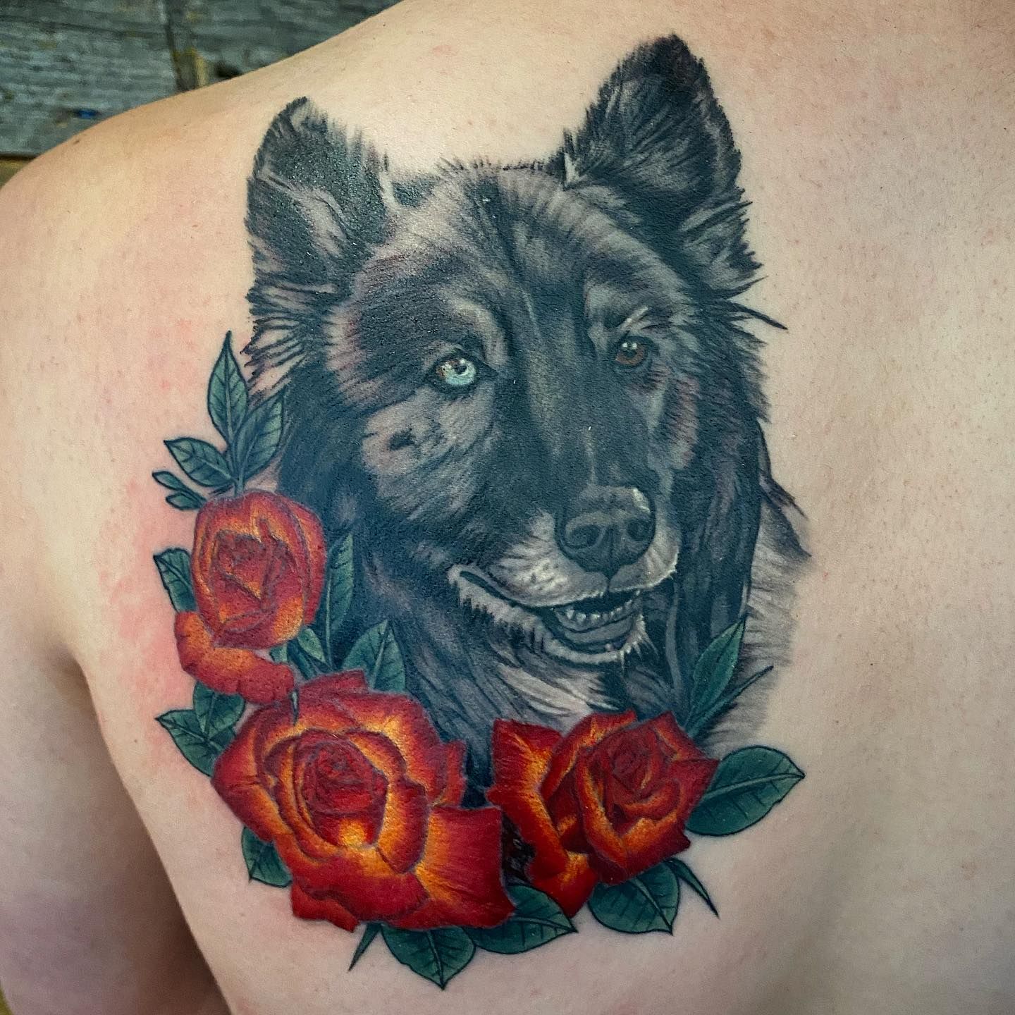 Dog Portrait Tattoo by Dale Moostoos at Crimson Empire Tattoo in Edmonton Alberta Canada