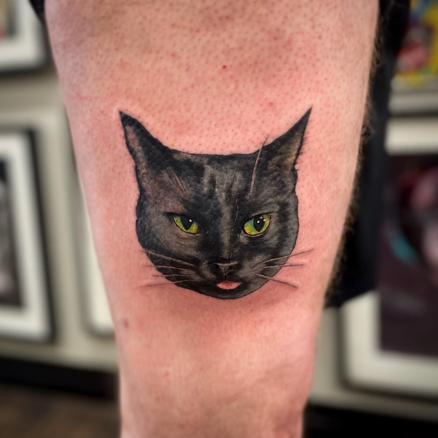 Cat Portrait Tattoo by Jess Alther at Black Gold Tattoo Co in Edmonton Alberta Canada