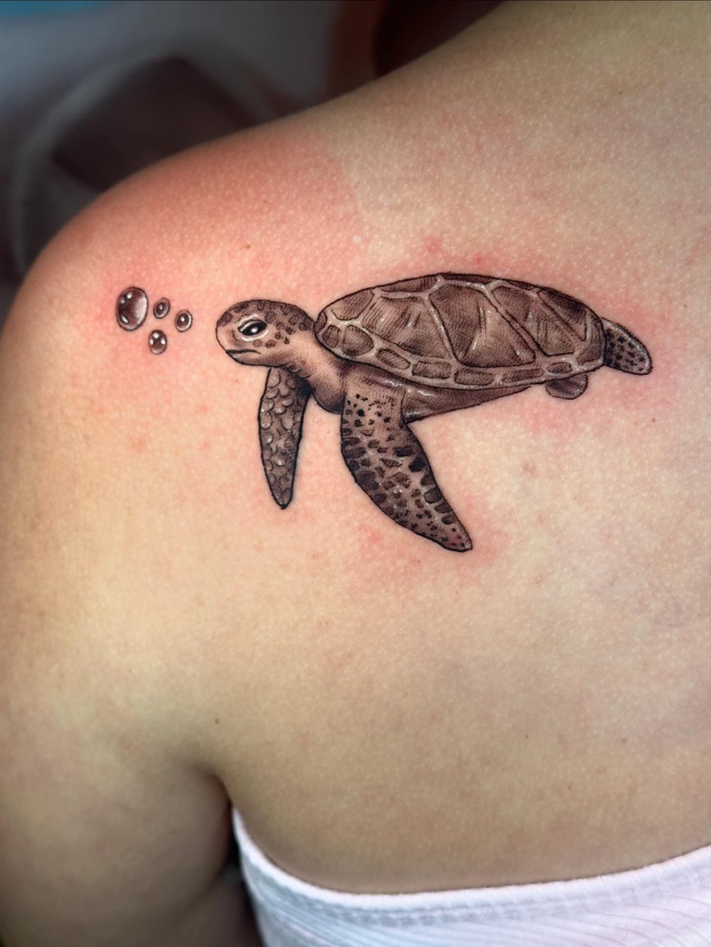 Turtle Tattoo by Sly at Silver Ghost Tattoo in Edmonton Alberta Canada