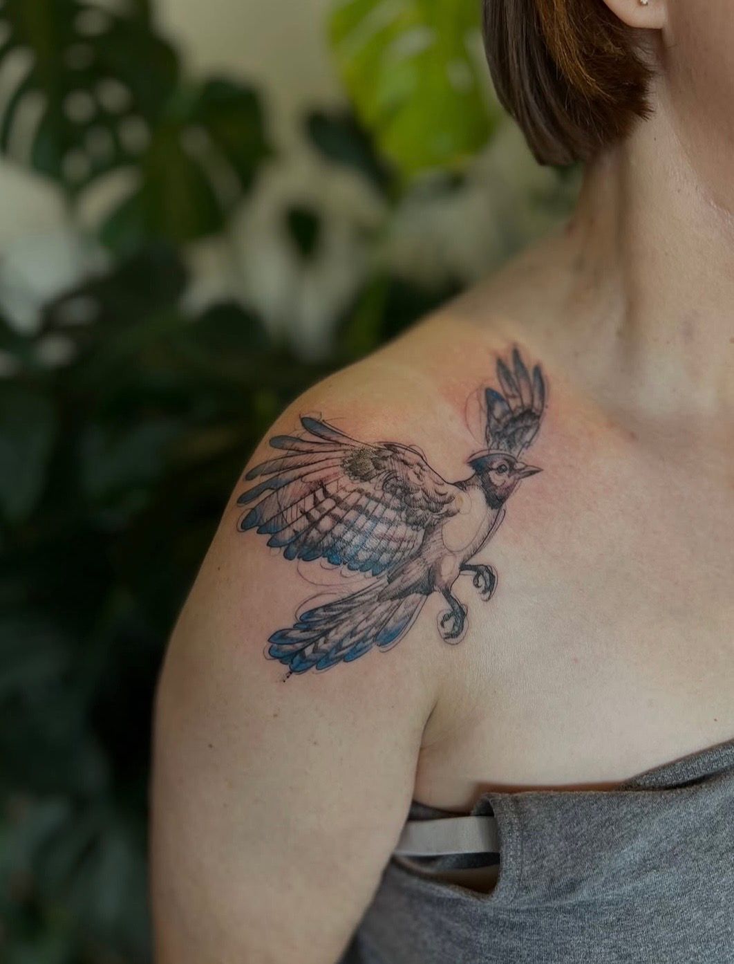 Bluejay Tattoo by Adrienne Alexander at Silver Ghost Tattoo in Edmonton Alberta Canada