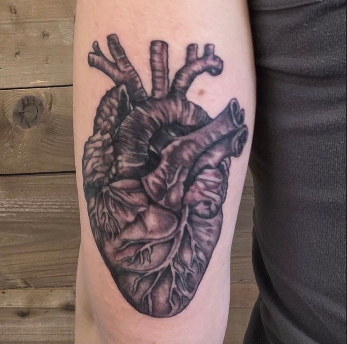 Anatomical Heart Tattoo by Sheila Anderson at Crimson Empire Tattoo in Edmonton Alberta Canada