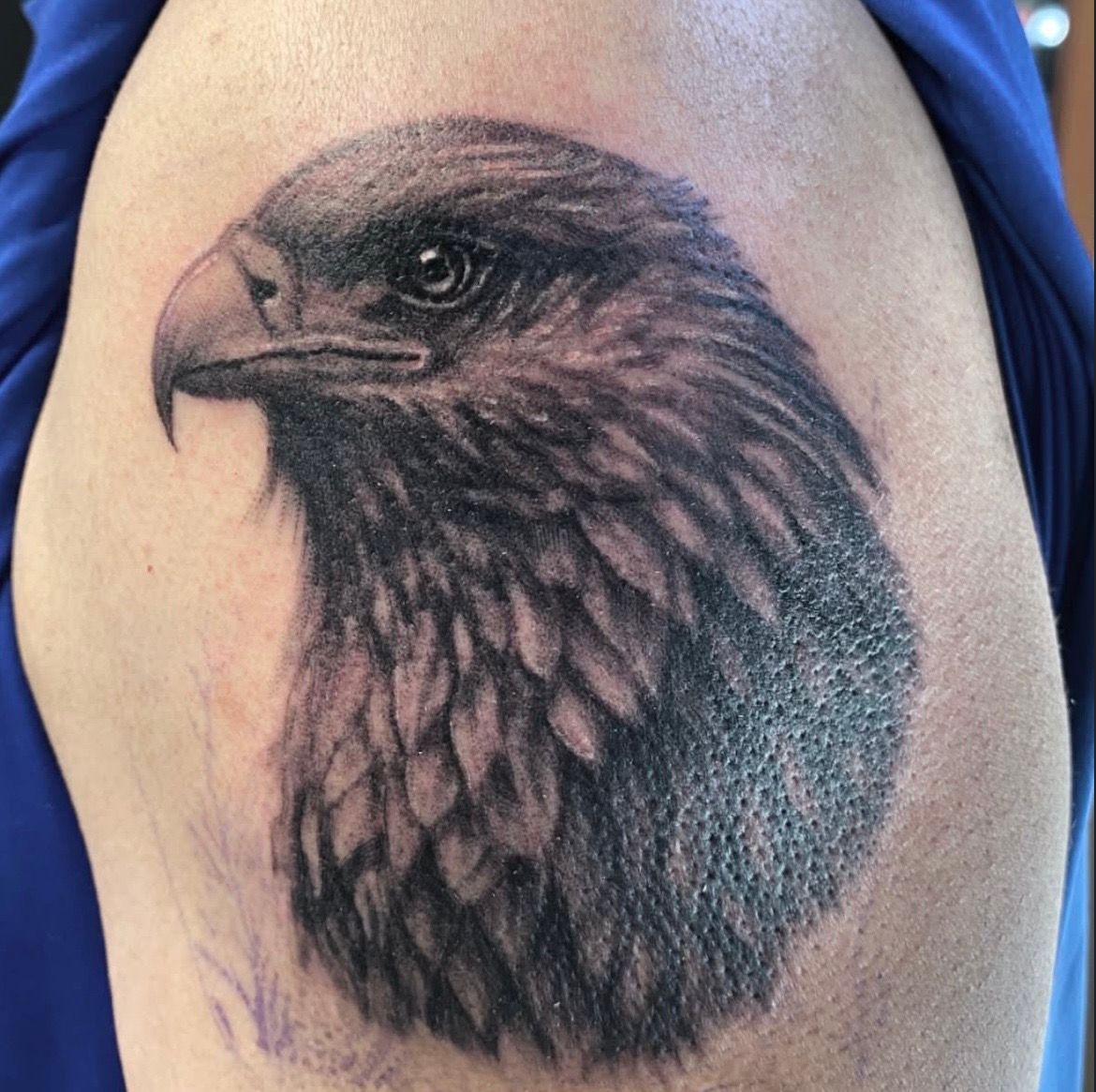 Eagle Tattoo by Steve Hayes at Black Gold Tattoo Co in Edmonton Alberta Canada