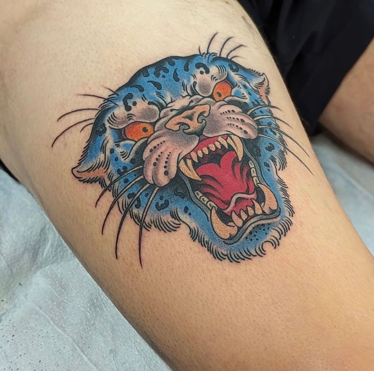 Tiger Tattoo by Chris Benson at Silver Ghost Tattoo in Edmonton Alberta Canada