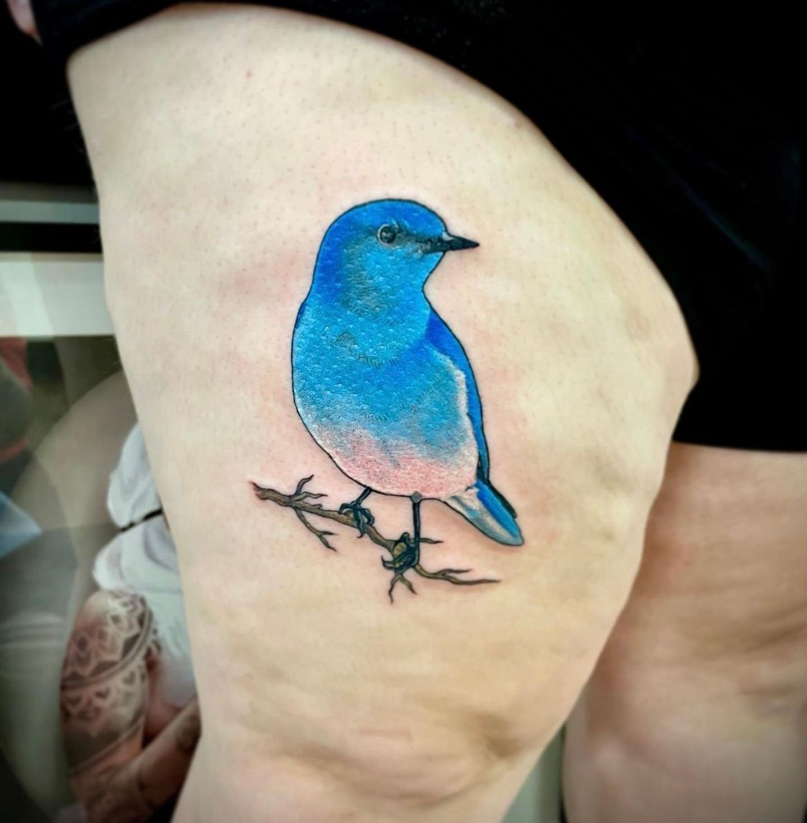 Mountain Bluebird Tattoo by Jess Alther at Black Gold Tattoo Co in Edmonton Alberta Canada