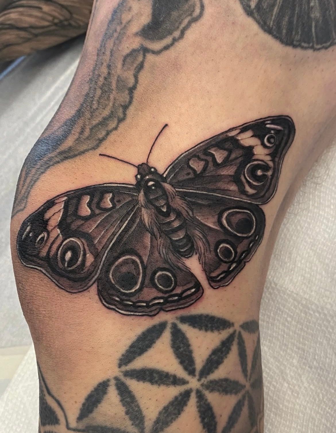 Moth Tattoo by Sasha Day at Crimson Empire Tattoo in Edmonton Alberta Canada