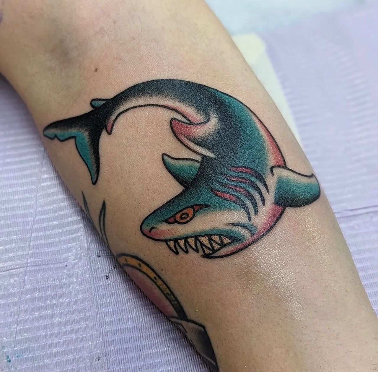 Shark Tattoo by Chris Benson at Silver Ghost Tattoo in Edmonton Alberta Canada