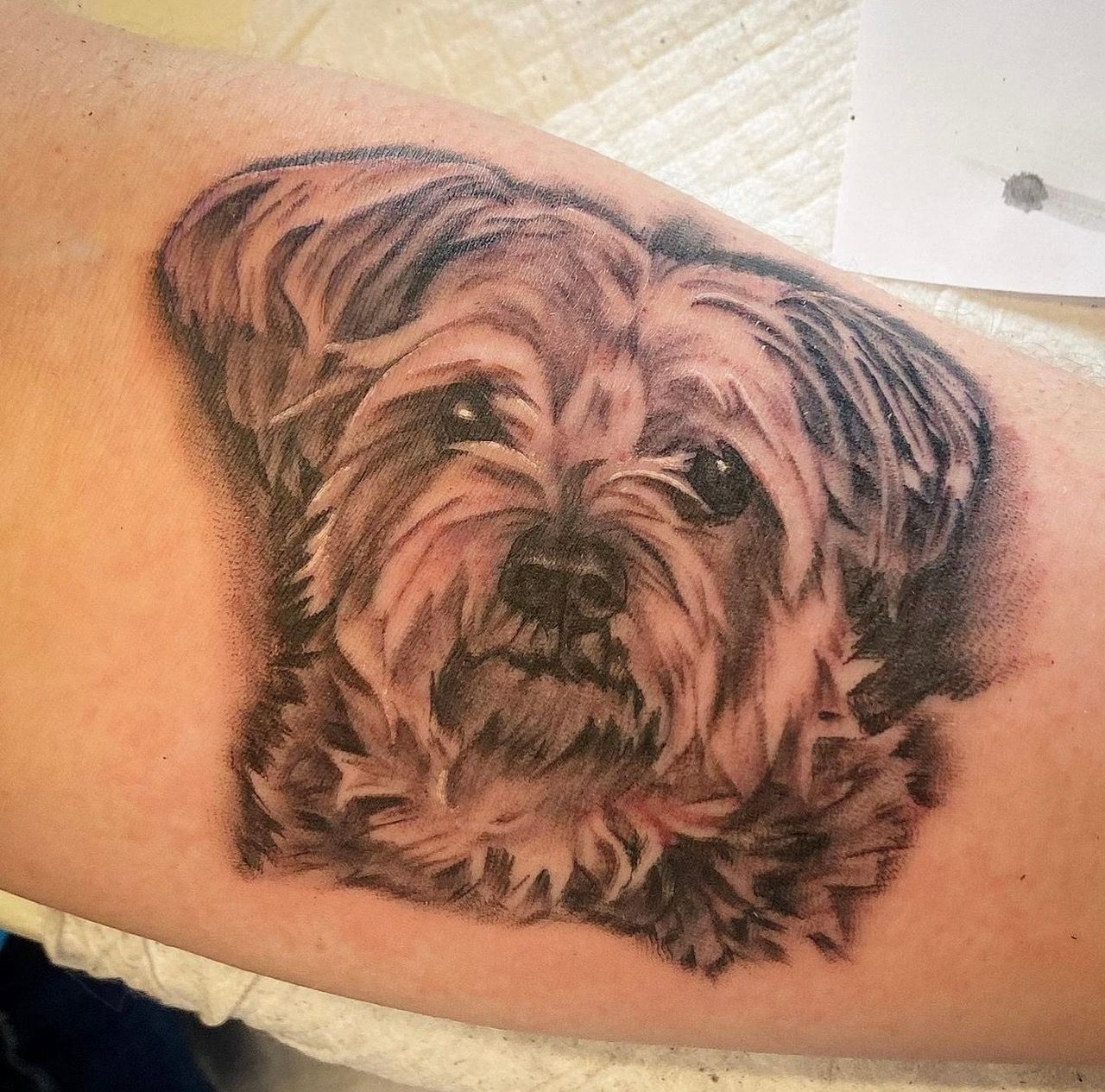 Dog Portrait Tattoo by Dale Moostoos at Crimson Empire Tattoo in Edmonton Alberta Canada