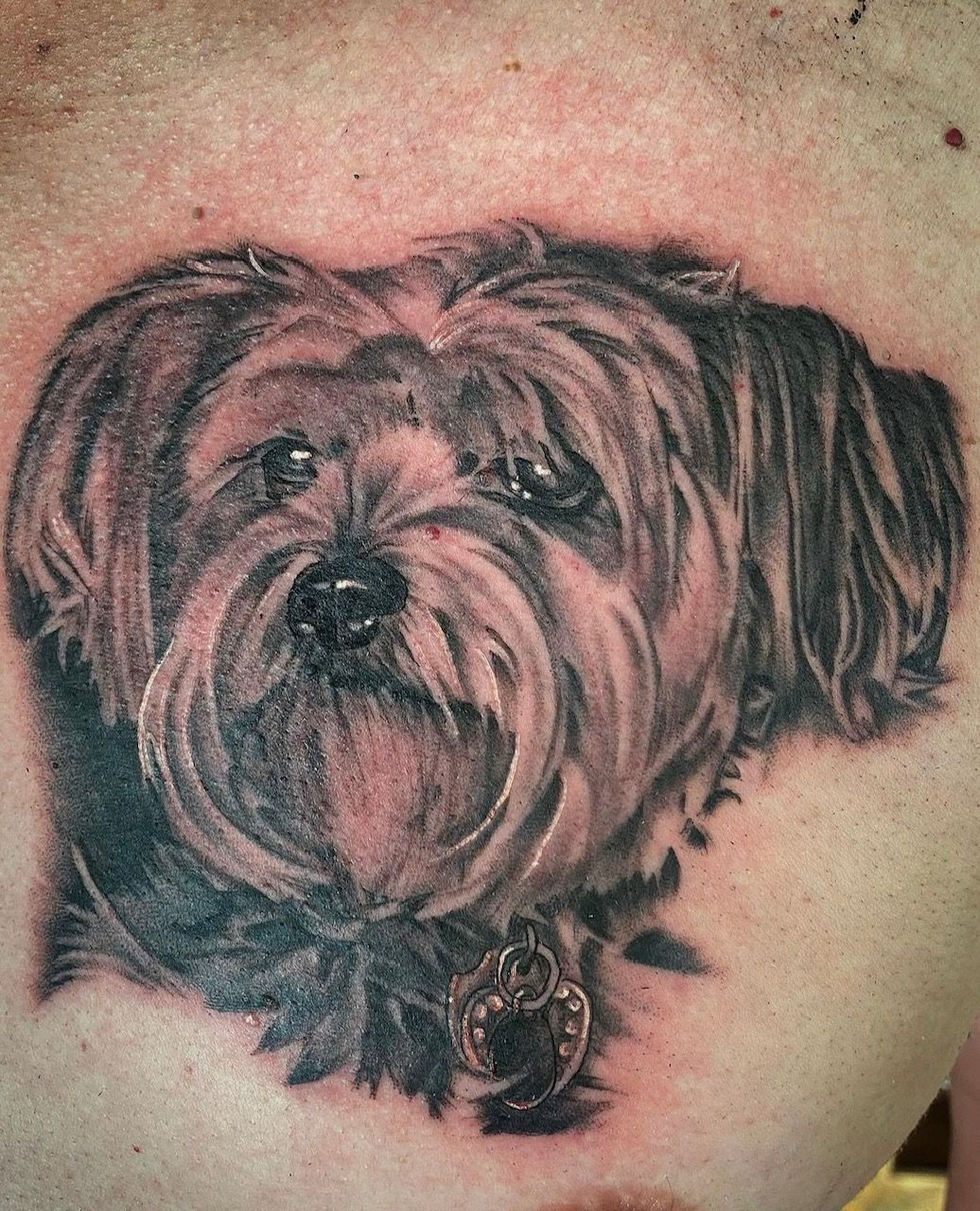 Dog Portrait Tattoo by Dale Moostoos at Crimson Empire Tattoo in Edmonton Alberta Canada