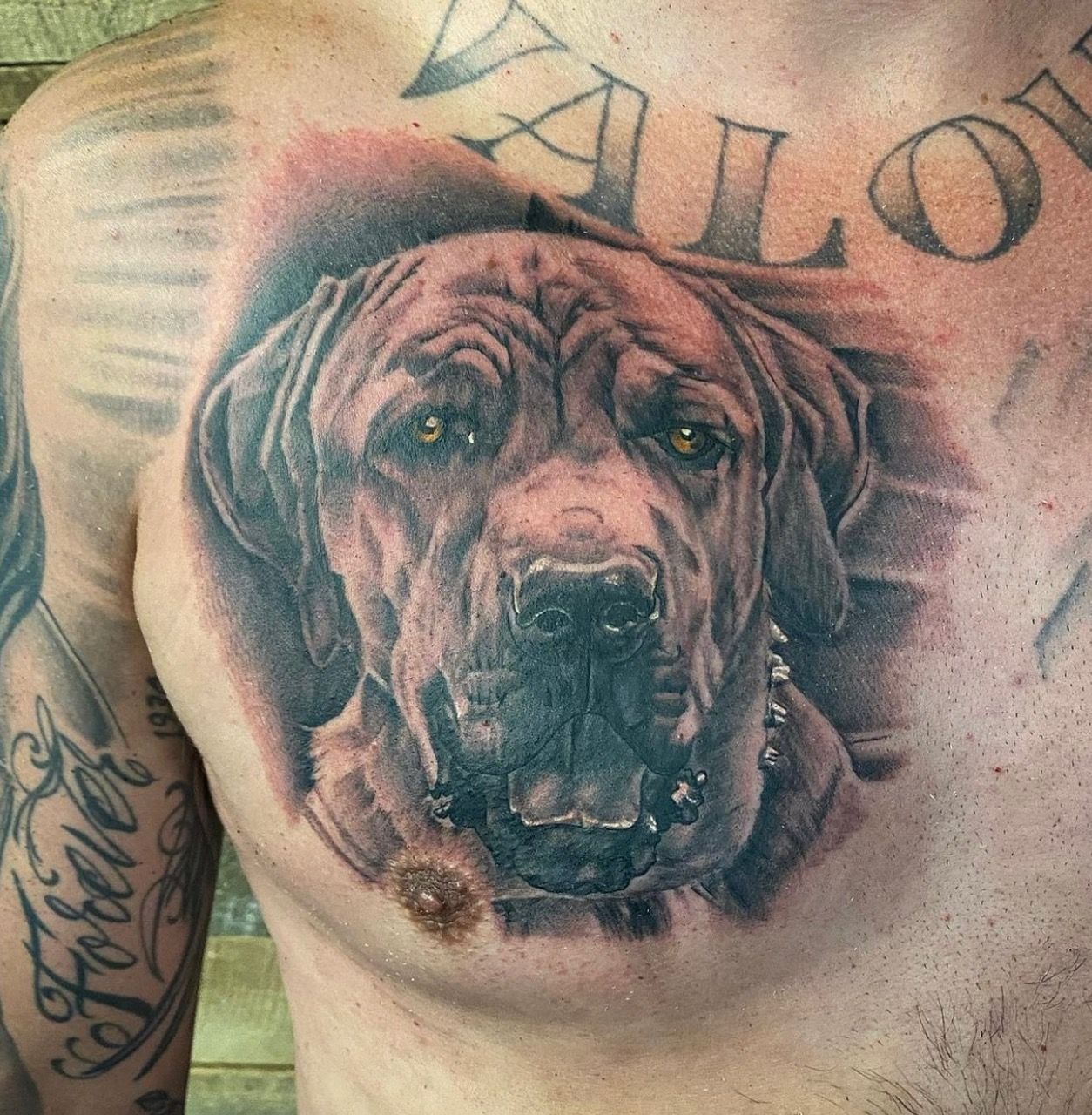 Dog Portrait Tattoo by Dale Moostoos at Crimson Empire Tattoo in Edmonton Alberta Canada