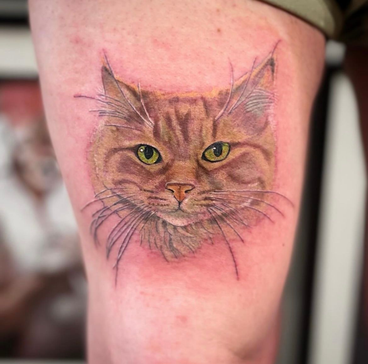 Cat Portrait Tattoo by Jess Alther at Black Gold Tattoo Co in Edmonton Alberta Canada