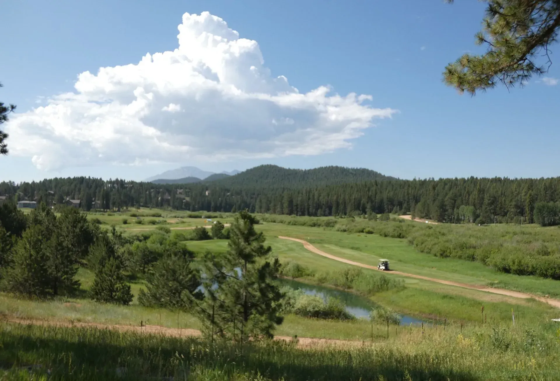 Lush green meadow and trees with a dirt path leading to a forest, under a blue sky with white clouds.