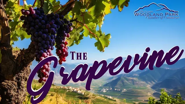 Purple grapes hanging from a vine, with 