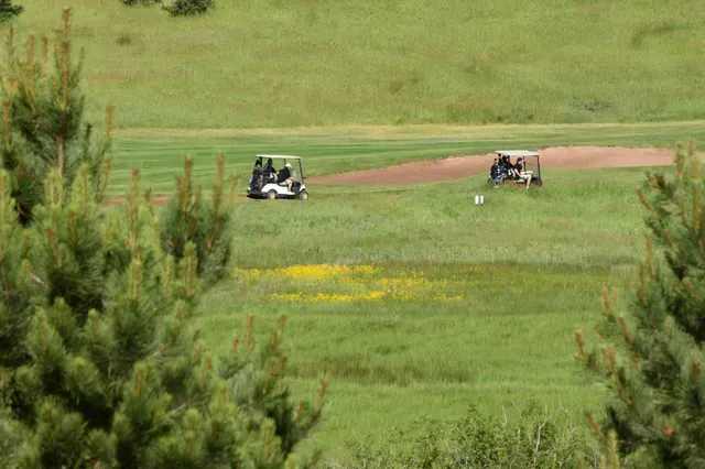 Two golf carts on a green golf course, trees framing the view on a sunny day.