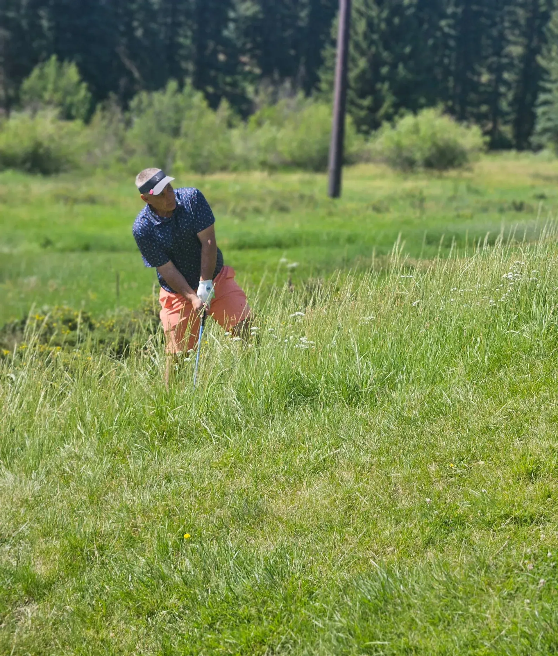 Golfer in orange pants swings from tall grass on a golf course.