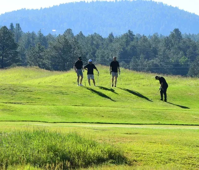 Four golfers on a green golf course, one bent over, mountains in the background.