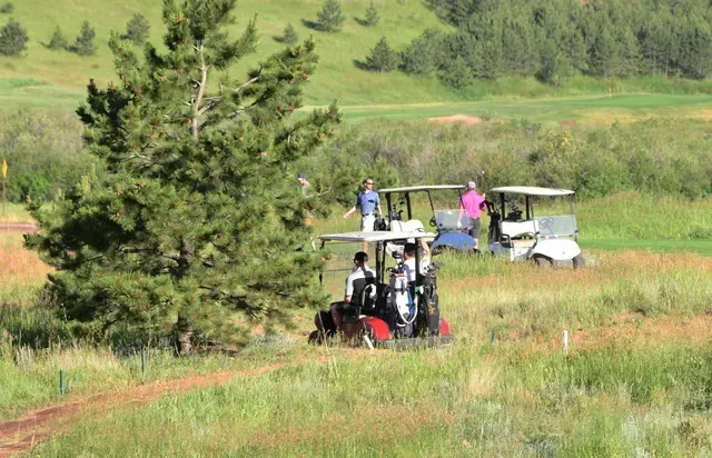 Golfers in golf carts on a green fairway with a tree in the foreground and a hillside in the background.