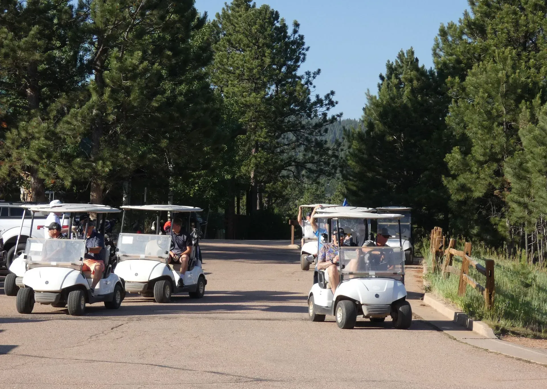 Golf carts line up on a road surrounded by trees. People sit in the carts under a sunny sky.