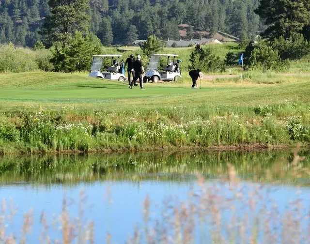People golfing on a green, near a pond, with golf carts in the background, sunny day.