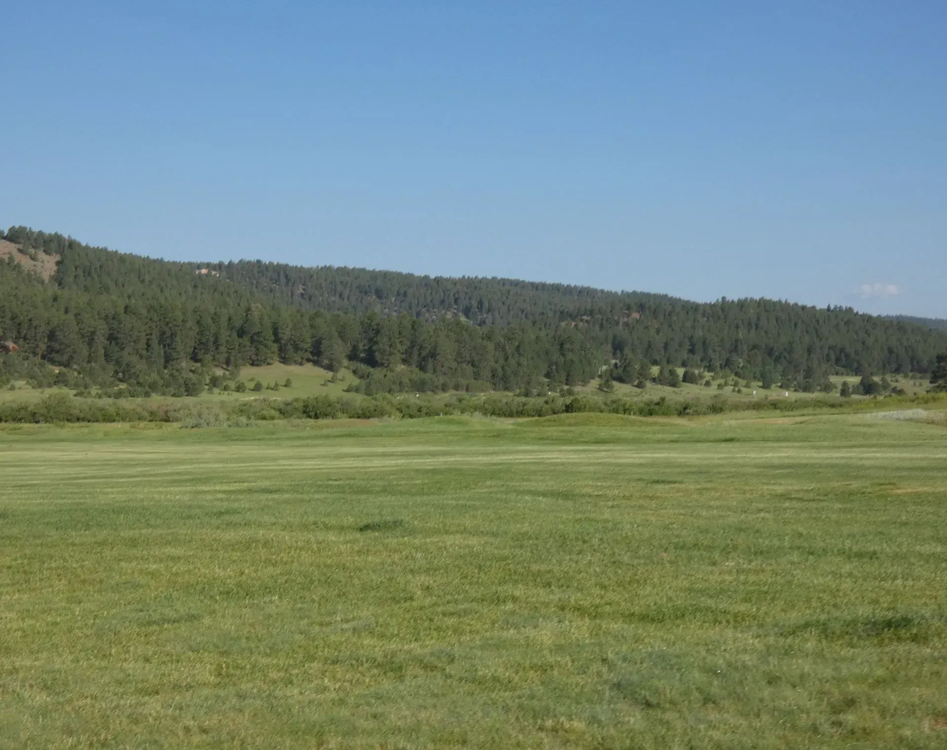 Green field with forest-covered hills under a clear blue sky.