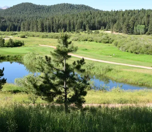 Lush golf course with a pond, trees, and a small evergreen in the foreground. Mountains in the distance.
