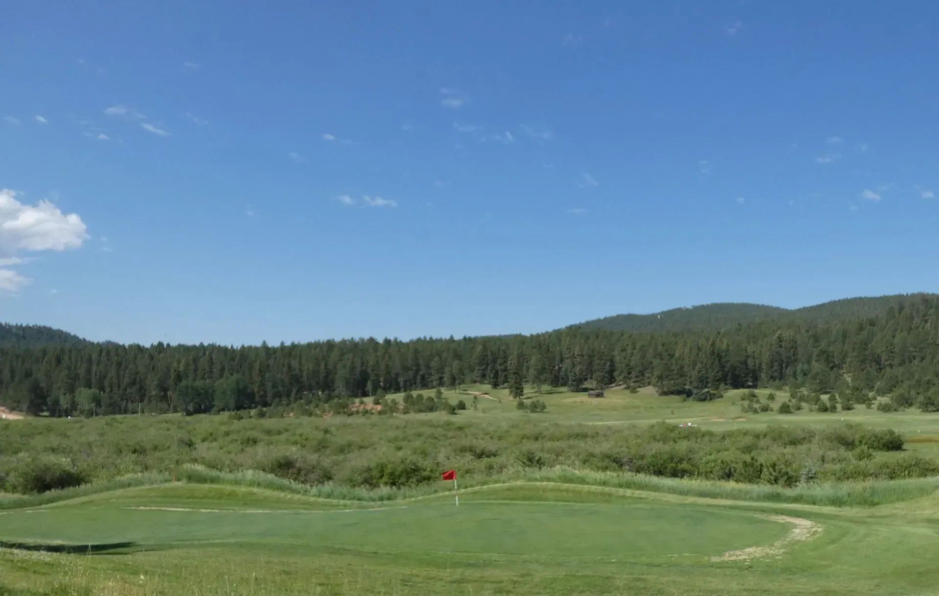 Golf green with a red flag, surrounded by tall grass and trees, under a blue sky.
