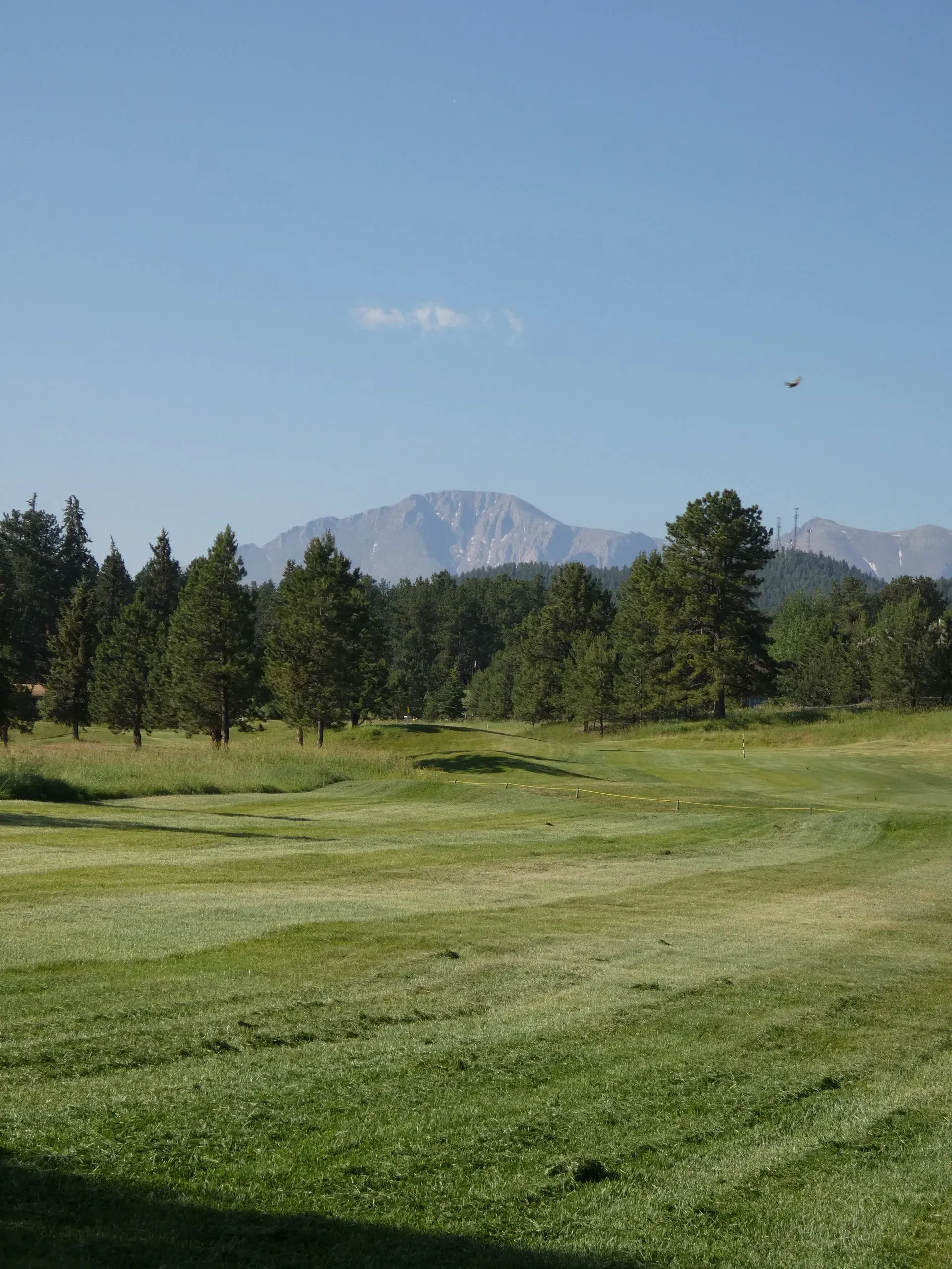 Green golf course with trees and a snow-capped mountain under a blue sky.