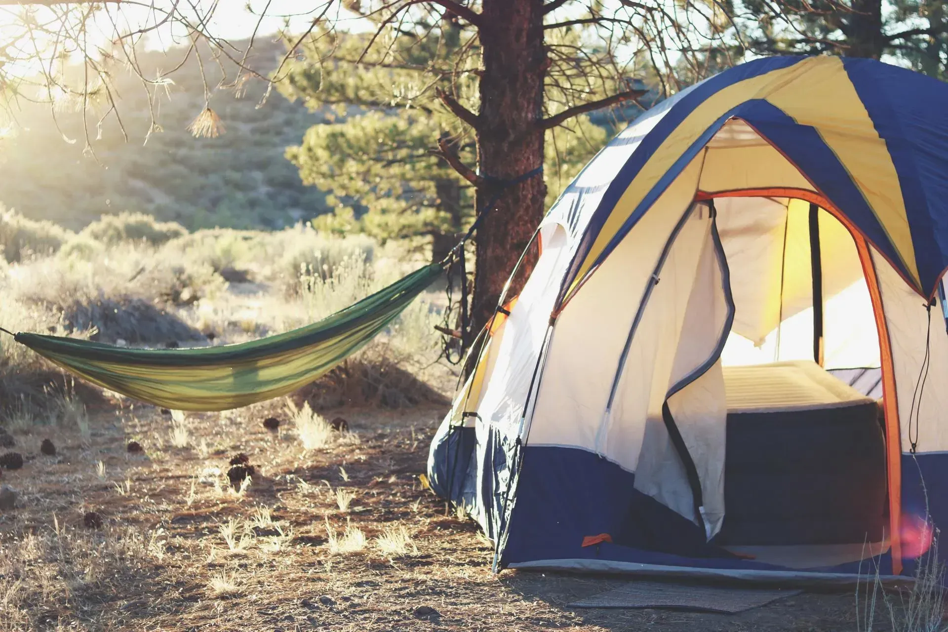 Camping scene: tent, hammock, and sunlight in a forest setting.