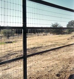 3- Rail W- Non-Climb-3