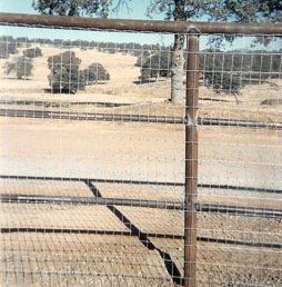 3-Rail W-Non-Climb wire