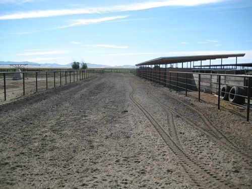 4- Rail pipe-S.R.-10