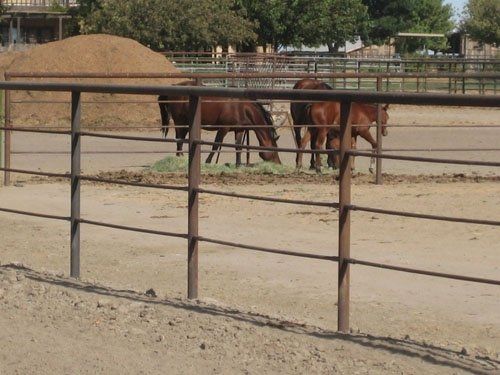 4- Rail pipe-S.R.-13