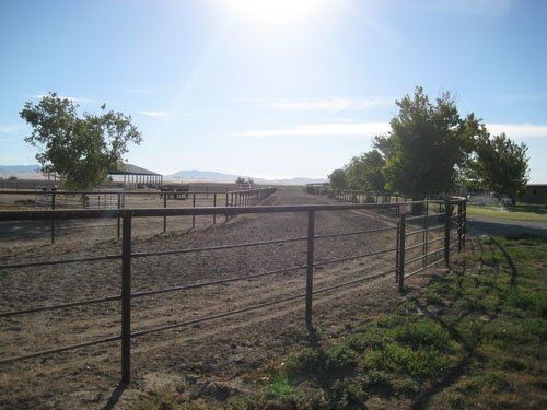 4- Rail pipe-S.R.-16