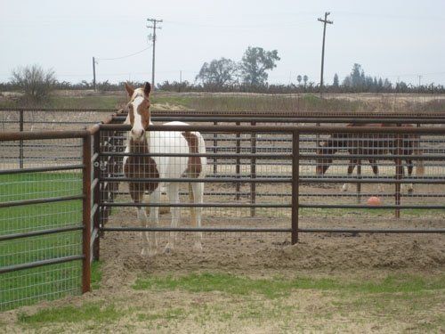 5-Rail-galv. panel-5