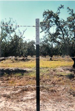 Barbwire on T-Post