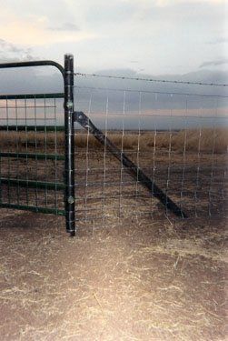 Feild Fence W-1-strand BW