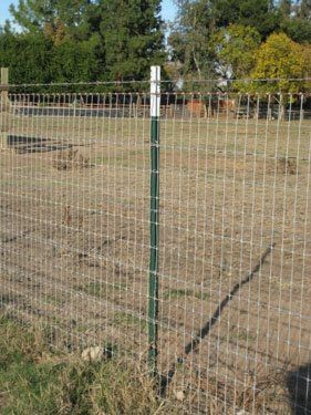 Non-Climb wire on T-Post