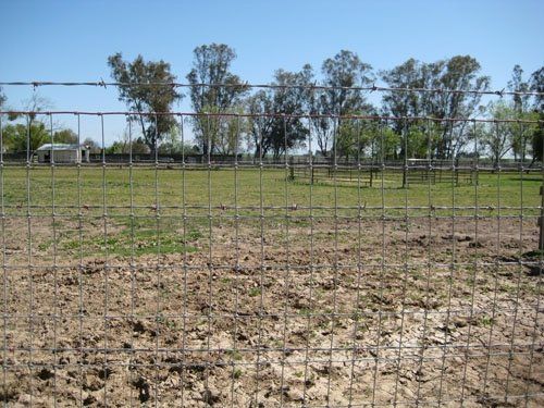 Non-Climb wire-Barbwire-2