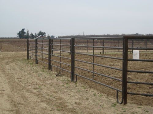 Powder Mountian Arena