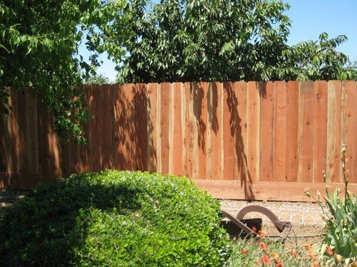 Redwood dog ear picket