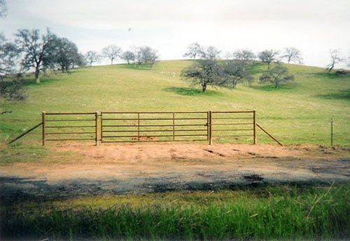 Single Gate W- 5-Rail Braces