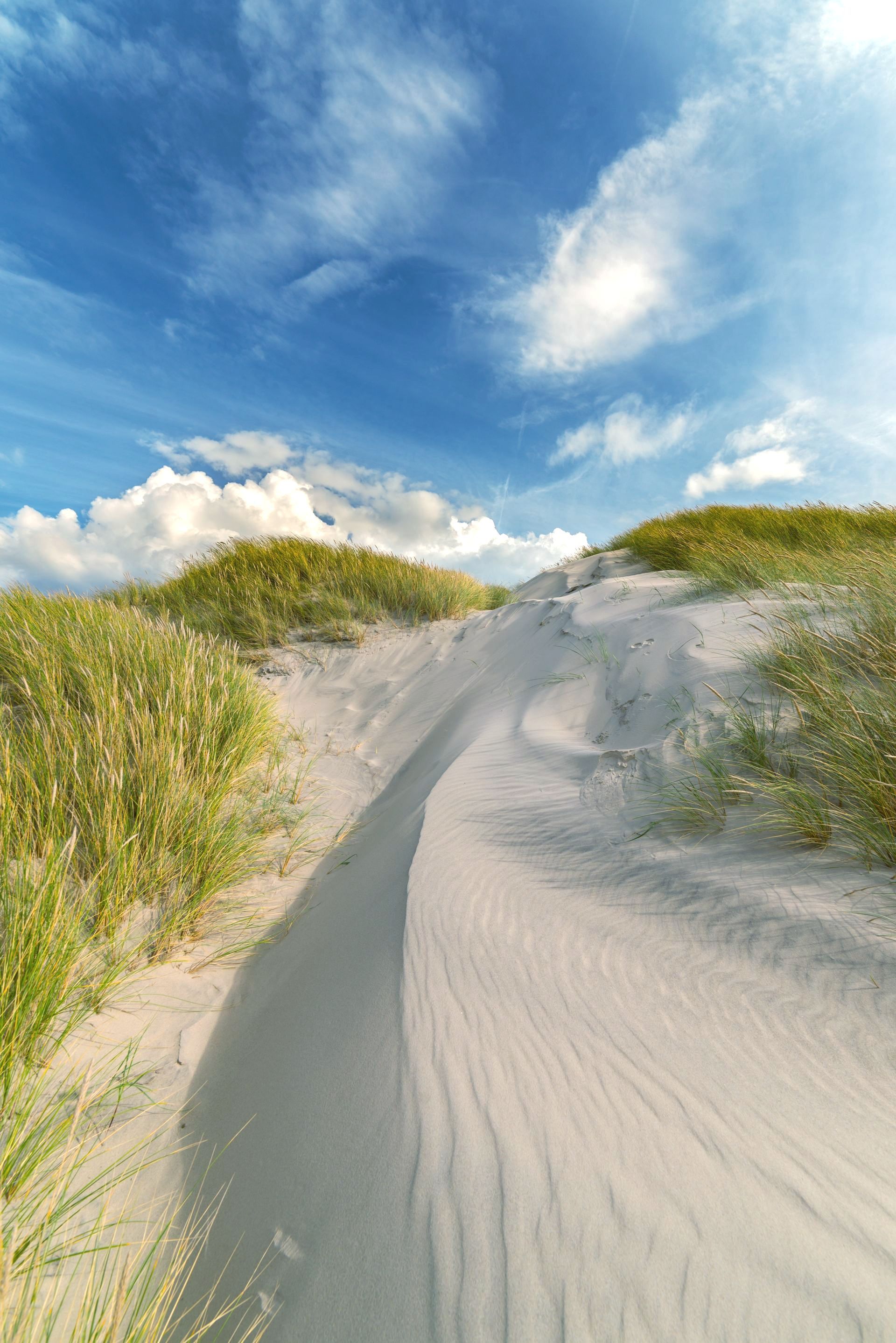 A path going up a sand dune on a sunny day.