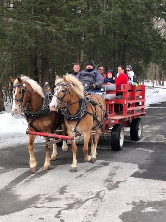 Two horses pull a red wagon carrying people along a snowy road in a wooded area.