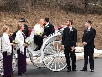 Bride and groom kissing in a white horse-drawn carriage, with wedding party standing nearby outdoors.