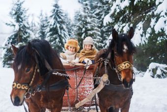 Two children ride in a horse-drawn sleigh through snowy woods
