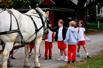 Children petting a white horse harnessed outdoors near a building